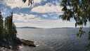 ./images/koeye/fitz-hugh/20250501/fitz-hugh20250501_140510M.jpg