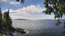 ./images/koeye/fitz-hugh/20250501/fitz-hugh20250501_141511M.jpg