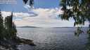 ./images/koeye/fitz-hugh/20250501/fitz-hugh20250501_142009M.jpg