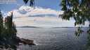 ./images/koeye/fitz-hugh/20250501/fitz-hugh20250501_142508M.jpg