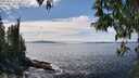 ./images/koeye/fitz-hugh/20250501/fitz-hugh20250501_143510M.jpg
