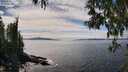 ./images/koeye/fitz-hugh/20250501/fitz-hugh20250501_144511M.jpg