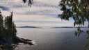 ./images/koeye/fitz-hugh/20250501/fitz-hugh20250501_145010M.jpg