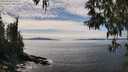 ./images/koeye/fitz-hugh/20250501/fitz-hugh20250501_145510M.jpg