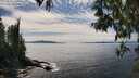 ./images/koeye/fitz-hugh/20250501/fitz-hugh20250501_150509M.jpg