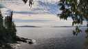 ./images/koeye/fitz-hugh/20250501/fitz-hugh20250501_151009M.jpg