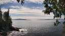 ./images/koeye/fitz-hugh/20250501/fitz-hugh20250501_151511M.jpg