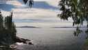 ./images/koeye/fitz-hugh/20250501/fitz-hugh20250501_152010M.jpg