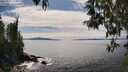 ./images/koeye/fitz-hugh/20250501/fitz-hugh20250501_152510M.jpg