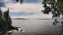 ./images/koeye/fitz-hugh/20250501/fitz-hugh20250501_153011M.jpg