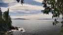 ./images/koeye/fitz-hugh/20250501/fitz-hugh20250501_153510M.jpg