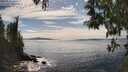 ./images/koeye/fitz-hugh/20250501/fitz-hugh20250501_154511M.jpg