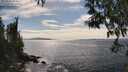 ./images/koeye/fitz-hugh/20250501/fitz-hugh20250501_155010M.jpg