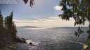 ./images/koeye/fitz-hugh/20250501/fitz-hugh20250501_160010M.jpg