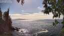 ./images/koeye/fitz-hugh/20250501/fitz-hugh20250501_160510M.jpg