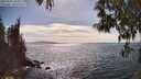 ./images/koeye/fitz-hugh/20250501/fitz-hugh20250501_162010M.jpg