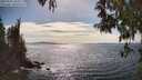 ./images/koeye/fitz-hugh/20250501/fitz-hugh20250501_162510M.jpg