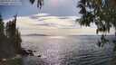 ./images/koeye/fitz-hugh/20250501/fitz-hugh20250501_163011M.jpg