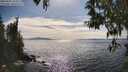 ./images/koeye/fitz-hugh/20250501/fitz-hugh20250501_163509M.jpg