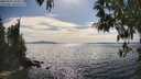 ./images/koeye/fitz-hugh/20250501/fitz-hugh20250501_164010M.jpg