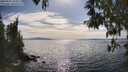 ./images/koeye/fitz-hugh/20250501/fitz-hugh20250501_164509M.jpg