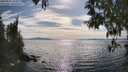 ./images/koeye/fitz-hugh/20250501/fitz-hugh20250501_165011M.jpg