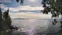 ./images/koeye/fitz-hugh/20250501/fitz-hugh20250501_165510M.jpg