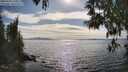 ./images/koeye/fitz-hugh/20250501/fitz-hugh20250501_170011M.jpg