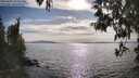./images/koeye/fitz-hugh/20250501/fitz-hugh20250501_172009M.jpg