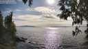 ./images/koeye/fitz-hugh/20250501/fitz-hugh20250501_172509M.jpg