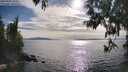 ./images/koeye/fitz-hugh/20250501/fitz-hugh20250501_174010M.jpg