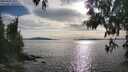 ./images/koeye/fitz-hugh/20250501/fitz-hugh20250501_175509M.jpg
