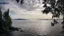 ./images/koeye/fitz-hugh/20250501/fitz-hugh20250501_180509M.jpg