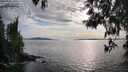 ./images/koeye/fitz-hugh/20250501/fitz-hugh20250501_181511M.jpg