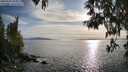./images/koeye/fitz-hugh/20250501/fitz-hugh20250501_183011M.jpg