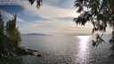 ./images/koeye/fitz-hugh/20250501/fitz-hugh20250501_183510M.jpg