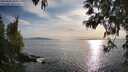 ./images/koeye/fitz-hugh/20250501/fitz-hugh20250501_184008M.jpg
