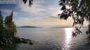 ./images/koeye/fitz-hugh/20250501/fitz-hugh20250501_185010M.jpg