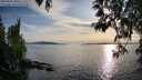 ./images/koeye/fitz-hugh/20250501/fitz-hugh20250501_185510M.jpg