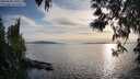 ./images/koeye/fitz-hugh/20250501/fitz-hugh20250501_190509M.jpg