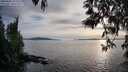 ./images/koeye/fitz-hugh/20250501/fitz-hugh20250501_191508M.jpg