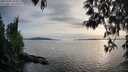 ./images/koeye/fitz-hugh/20250501/fitz-hugh20250501_192009M.jpg