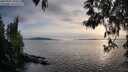 ./images/koeye/fitz-hugh/20250501/fitz-hugh20250501_192509M.jpg