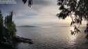 ./images/koeye/fitz-hugh/20250501/fitz-hugh20250501_193008M.jpg