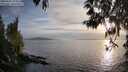 ./images/koeye/fitz-hugh/20250501/fitz-hugh20250501_194009M.jpg