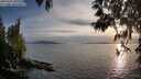 ./images/koeye/fitz-hugh/20250501/fitz-hugh20250501_194508M.jpg