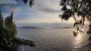 ./images/koeye/fitz-hugh/20250501/fitz-hugh20250501_195008M.jpg