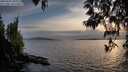 ./images/koeye/fitz-hugh/20250501/fitz-hugh20250501_200508M.jpg