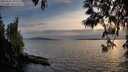 ./images/koeye/fitz-hugh/20250501/fitz-hugh20250501_201009M.jpg