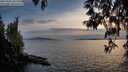./images/koeye/fitz-hugh/20250501/fitz-hugh20250501_201507M.jpg